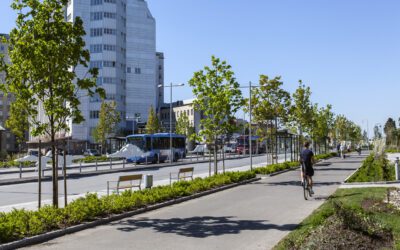 NYTT KURS! Plan- og bygningsloven